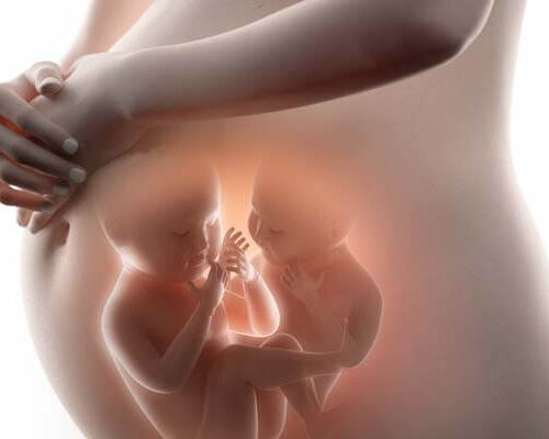 Zwanger van een tweeling: en nu?