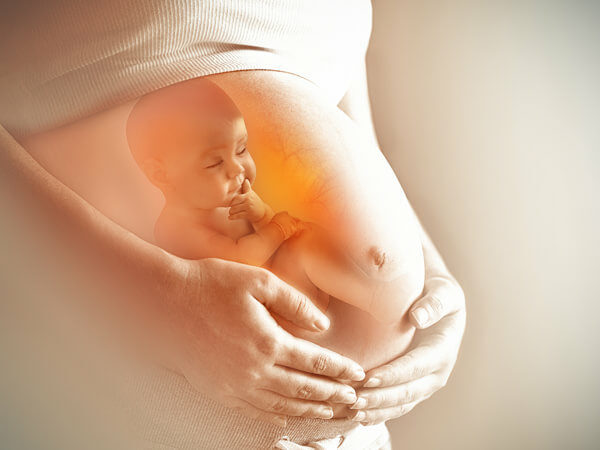 Baby in buik