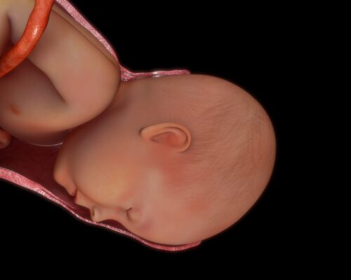 Uitdrijving; het tweede tijdperk van de bevalling