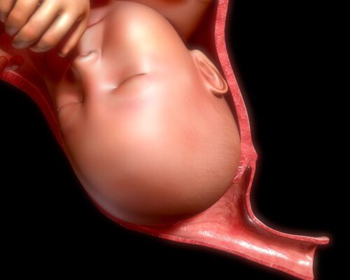 Ontsluiting; het eerste tijdperk van de bevalling