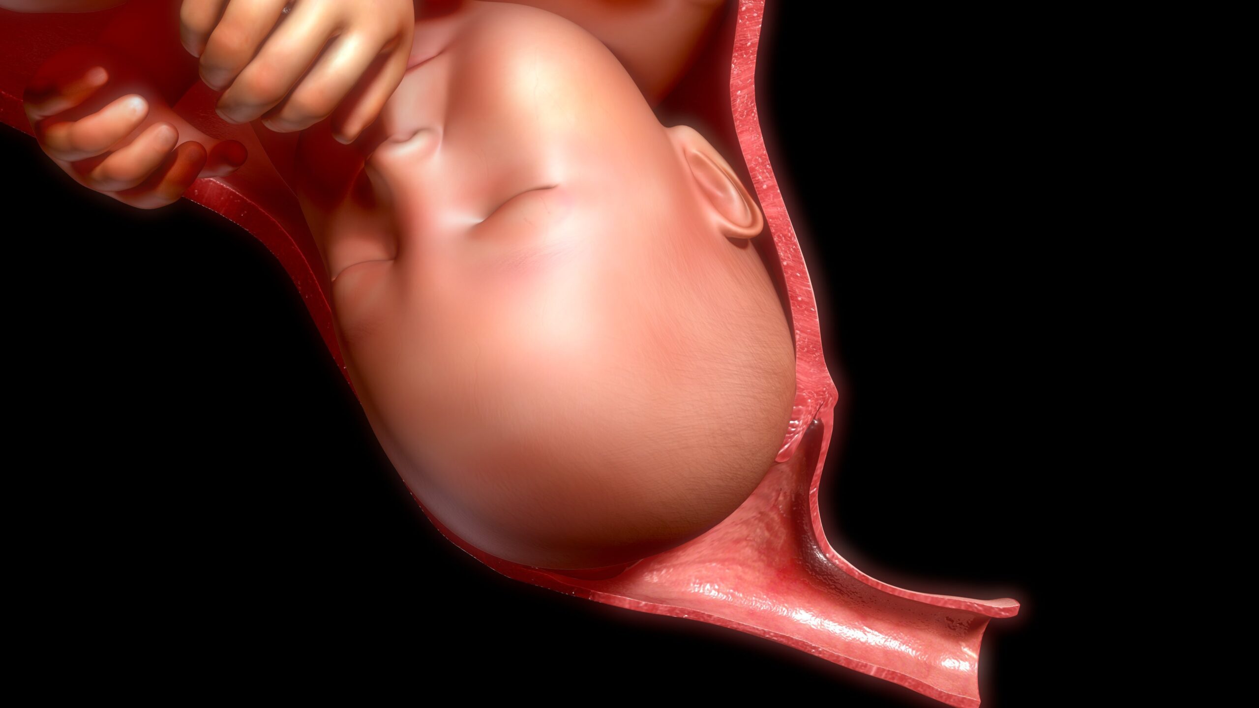 Volledige ontsluiting