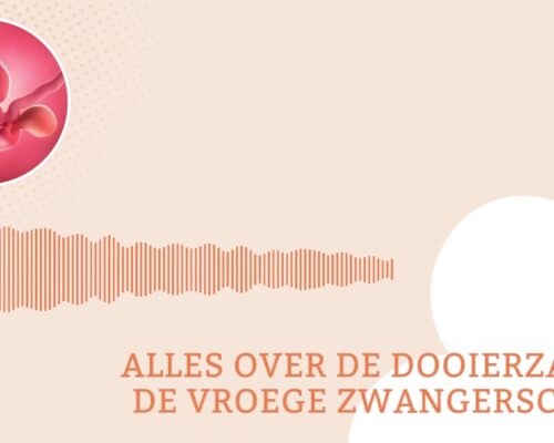 Alles over de dooierzak in de vroege zwangerschap