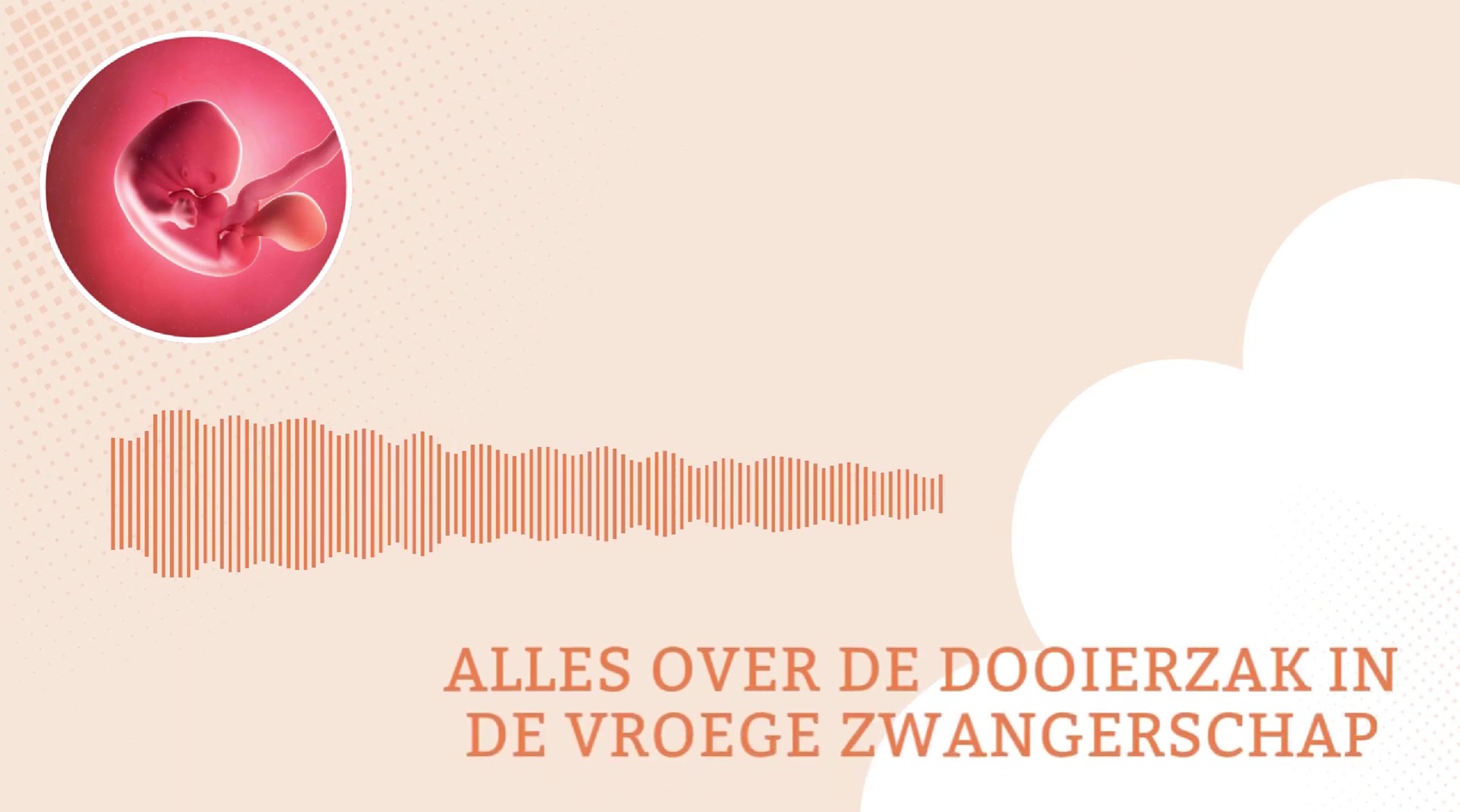 Alles over de dooierzak in de vroege zwangerschap