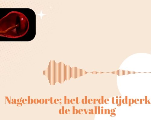 De bevalling: het derde tijdperk ( de nageboorte)