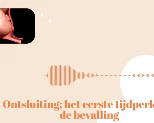 De bevalling: het eerste tijdperk (de ontsluitingsfase)
