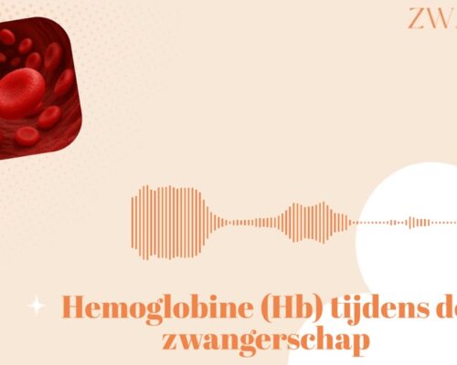 Hb en IJzer tijdens de zwangerschap, wat is normaal?
