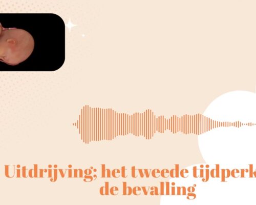 De bevalling: het tweede tijdperk (de uitdrijving & persen)