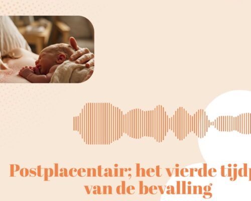 De bevalling: het vierde tijdperk (Postplacentair)