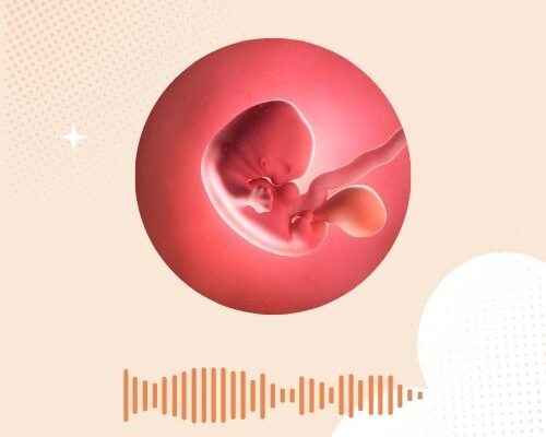 Alles over de dooierzak in de vroege zwangerschap