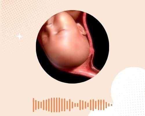 De bevalling: het eerste tijdperk (de ontsluitingsfase)