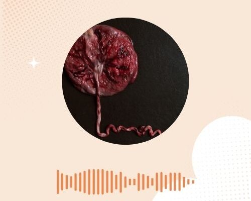 Waar ligt jouw placenta? Voor, achter of laagliggende placenta uitgelegd