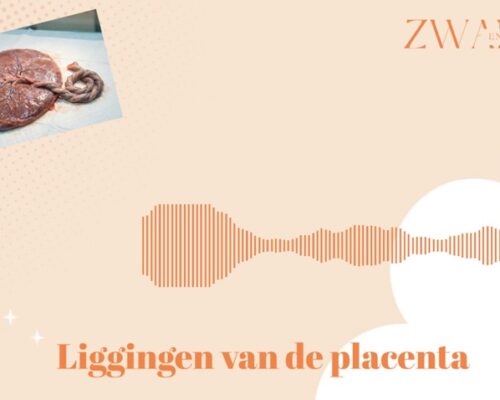 Waar ligt jouw placenta? Voor, achter of laagliggende placenta uitgelegd