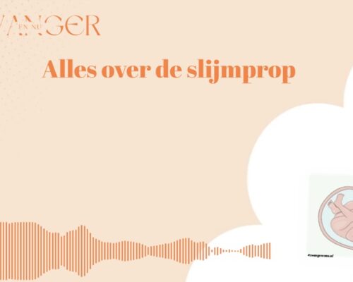 Slijmprop verloren: begint de bevalling nu?