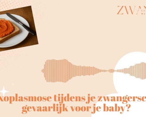 Toxoplasmose tijdens je zwangerschap, gevaarlijk voor je baby?
