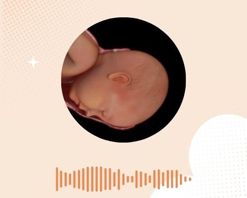 De bevalling: het tweede tijdperk (de uitdrijving & persen)