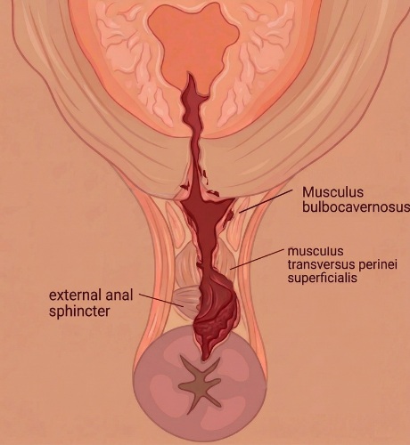 pinterest logo zwangerennu.nl 3