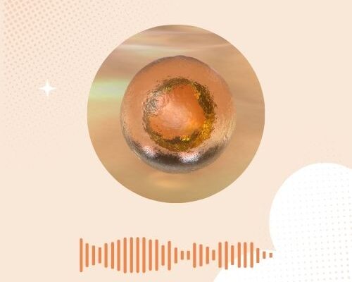 De innesteling: het begin van je zwangerschap