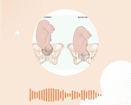 Het indalen van je baby: wat gebeurt er precies in je bekken?